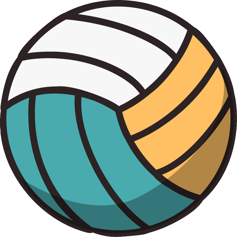 balon de voleyball