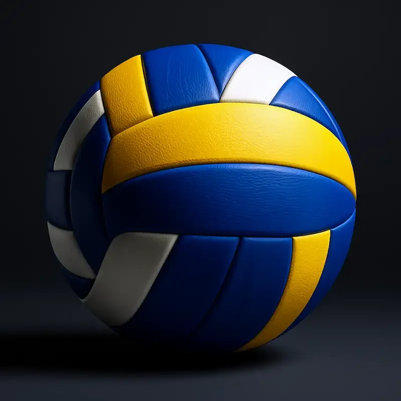 pelota de voleyball